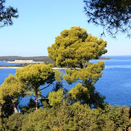 With Parking Space Stinjan, - 22993 Apartman *